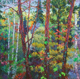 Deep Forest Birches - 5ftx5ft