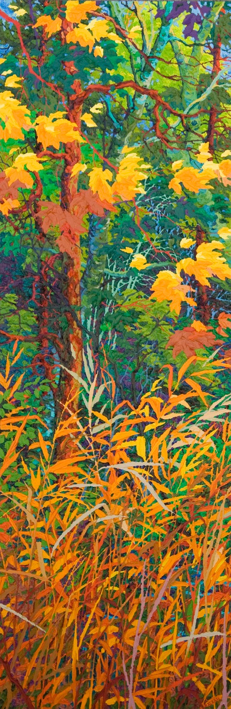 Autumn Fire LO