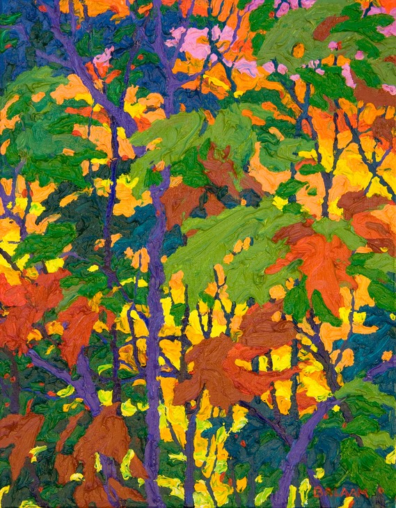 Autumn Sangre de Cristos III - 14" x 11"