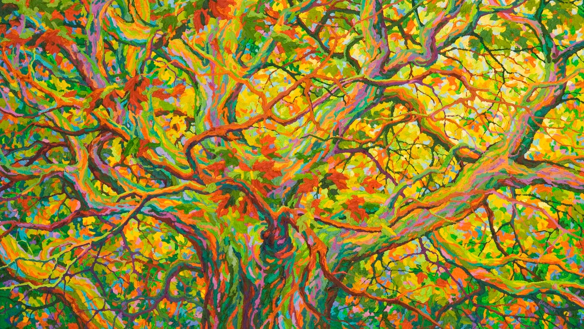 Balaams Wood Heart of Oak - 32" x 56"