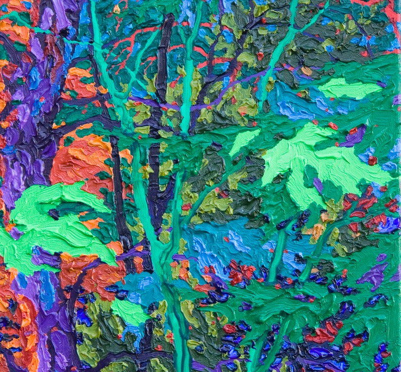 Gaze - Aladdin's Forest I - 14" x 11"