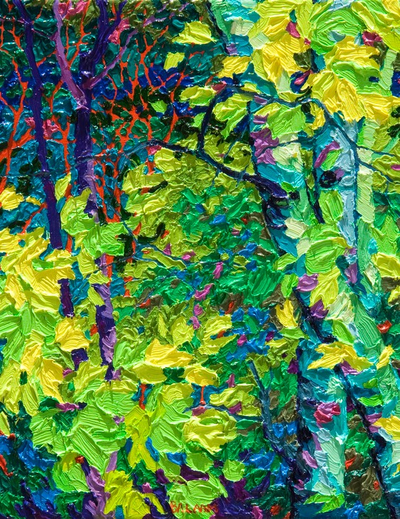 Gaze - Night Light  - 14" x 11"