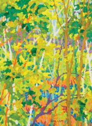 Gem - Santa Fe Canyon Preserve Marsh I LO