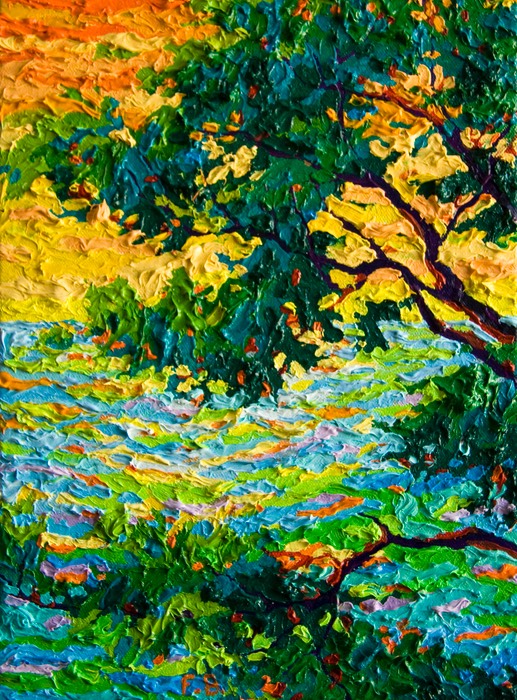 Gem Pebble Beach Monterey Cypress III LO