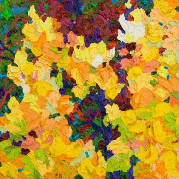 Glimpse - Rio Grande Cottonwoods III - 13" x 13"