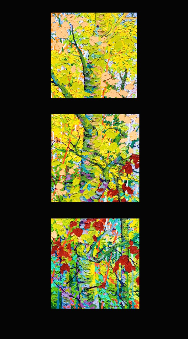 Glimpse Shadow Mountain Triptych - 13" x 13" x 3