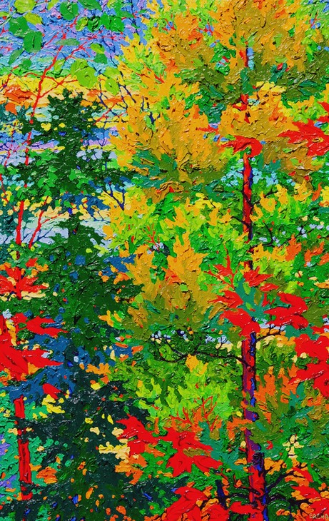 Kolbe Forest VII - Kate LO