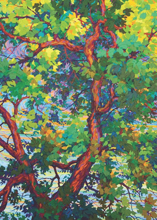 Majestic Cottonwood