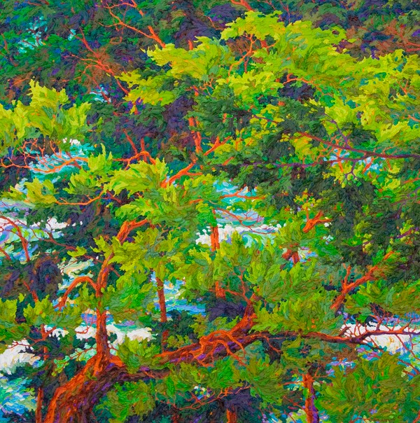 Ocean Light Through the Trees IV - 46" x 46"