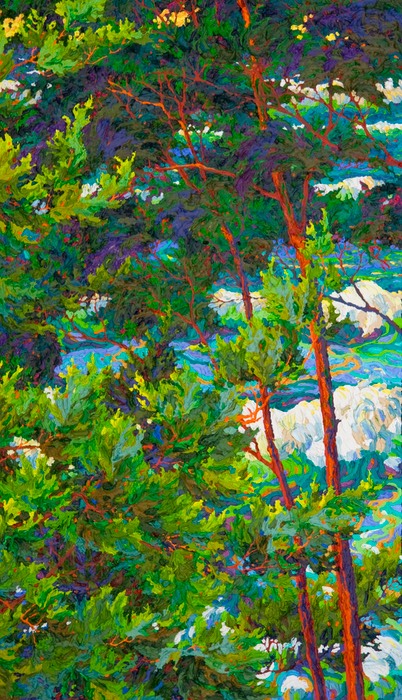 Ocean Light Through the Trees V - 24" x 42"