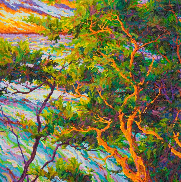 Pacific Sunset - Ocean Light Through the Trees 36" x 36"