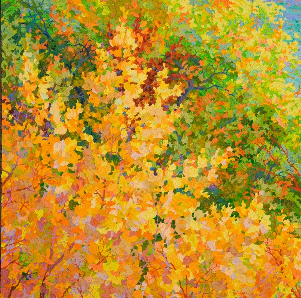 Rio Grande Autumn Cottonwoods - 36" x 36"