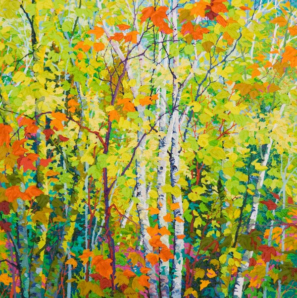 Santa Fe Aspens - 36" x 36"