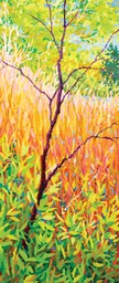 Santa Fe Canyon Preserve - Wetland LO