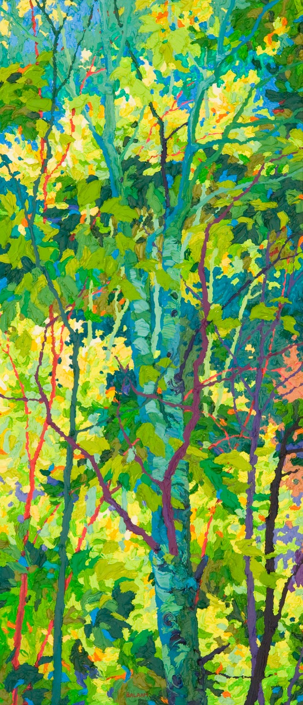 Tall Aspen Shadows I-  32" x 14"