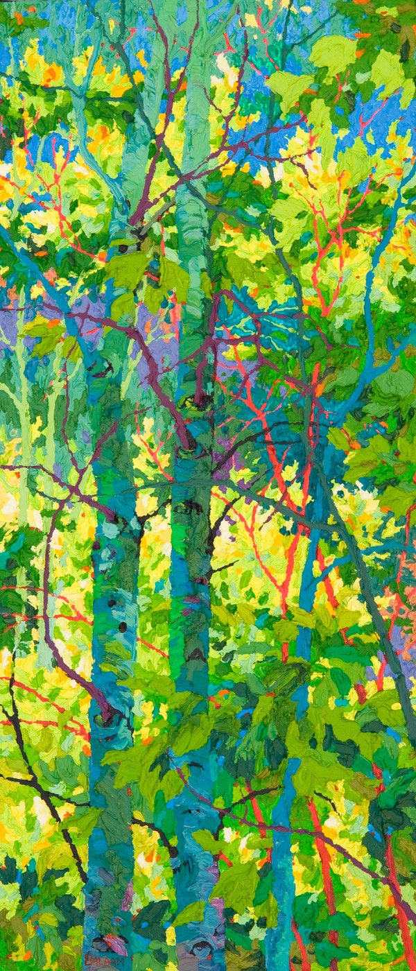 Tall Aspen Shadows II - 32" x 14"
