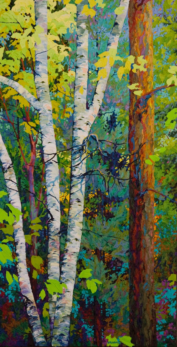 Tall Pine Three Birches - 2ft x 4 ft