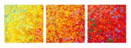 Triptych - Cascading Autumm Maples I II II
