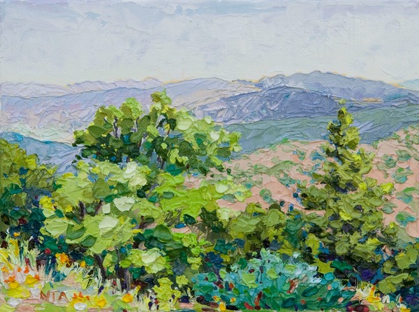 View from Pinal Mountains - 9" x 12"